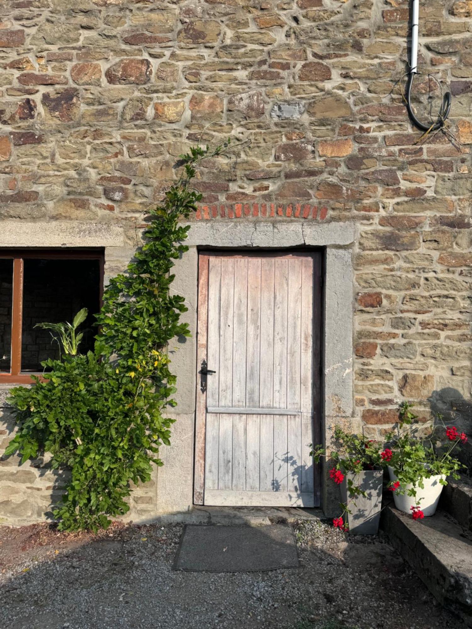 Buteo Chambres D'Hotes & Espresso Lesterny Esterno foto